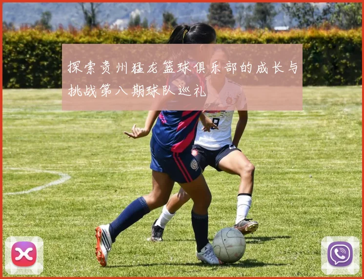 探索贵州猛龙篮球俱乐部的成长与挑战第八期球队巡礼