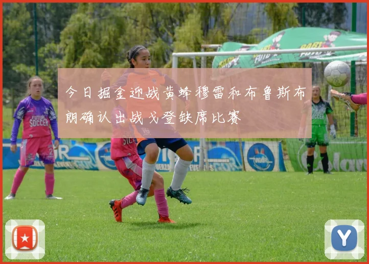 今日掘金迎战黄蜂穆雷和布鲁斯布朗确认出战戈登缺席比赛