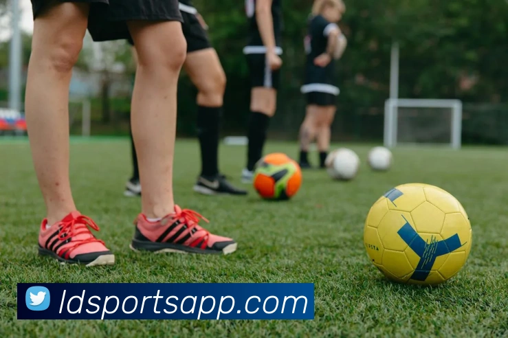 App Interface Preview