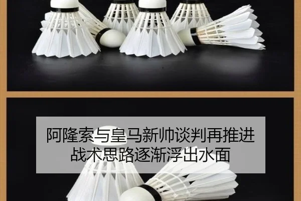 阿隆索与皇马新帅谈判再推进 战术思路逐渐浮出水面 - LDSPORTS